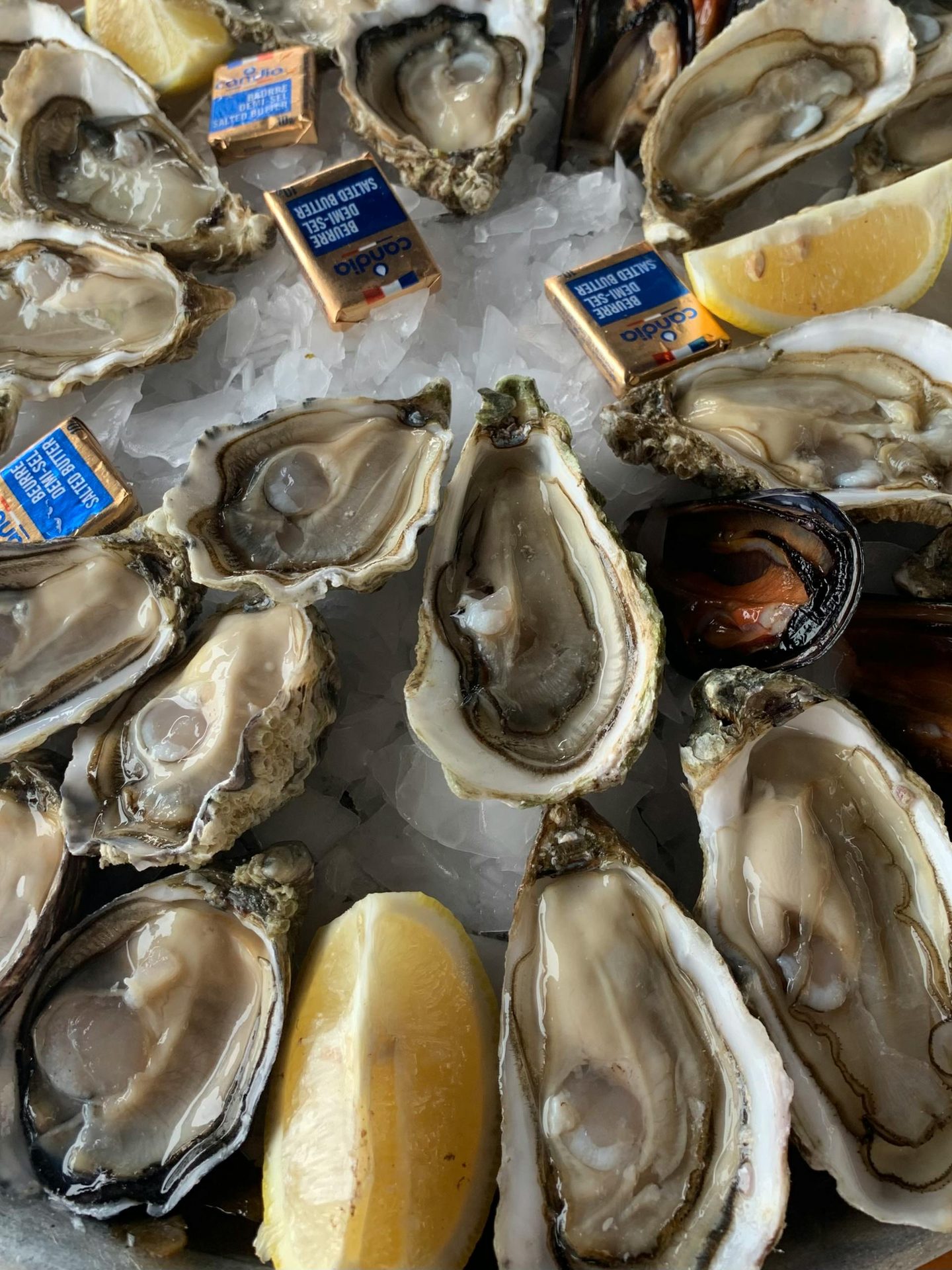 Østers i, gratinerede